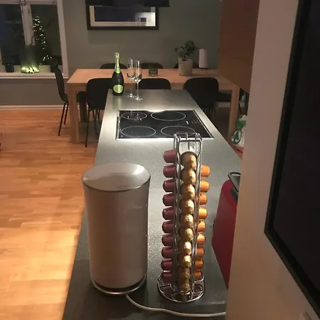 Penthouse Center Apartment Alesund